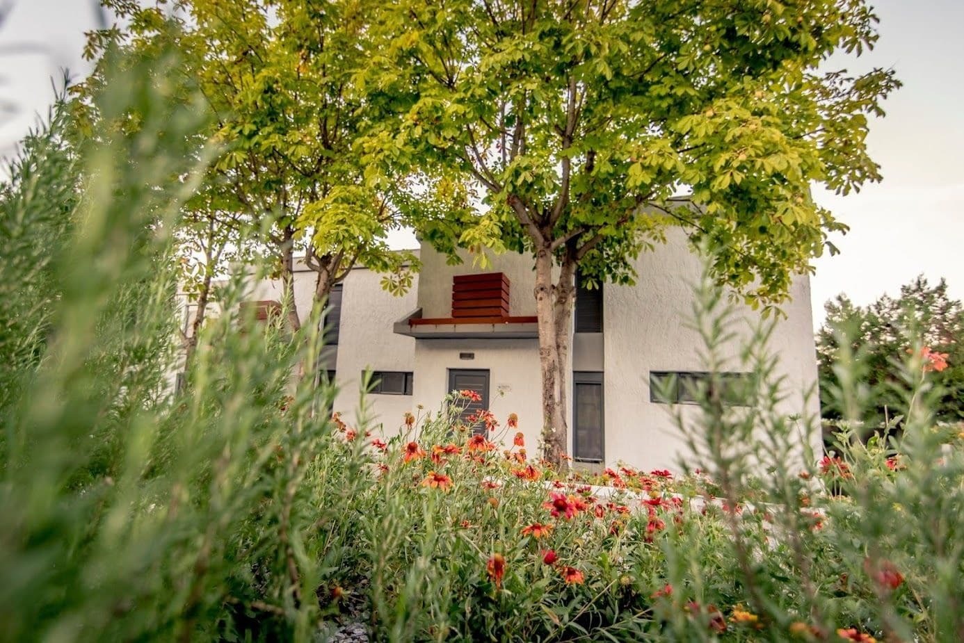 Pleiades Boutique Villas Kriopigi Exterior foto